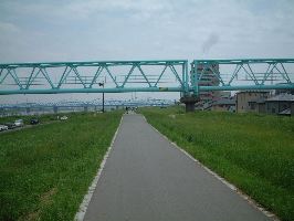 江戸川脇の道