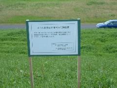 変な看板