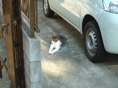 休憩中
