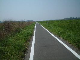 印旛沼脇の道
